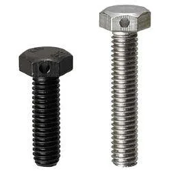 Misumi Hex Head Screws with Hole