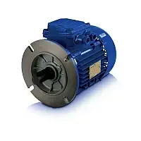 Электродвигатель Rossi 90LB 4P B5
