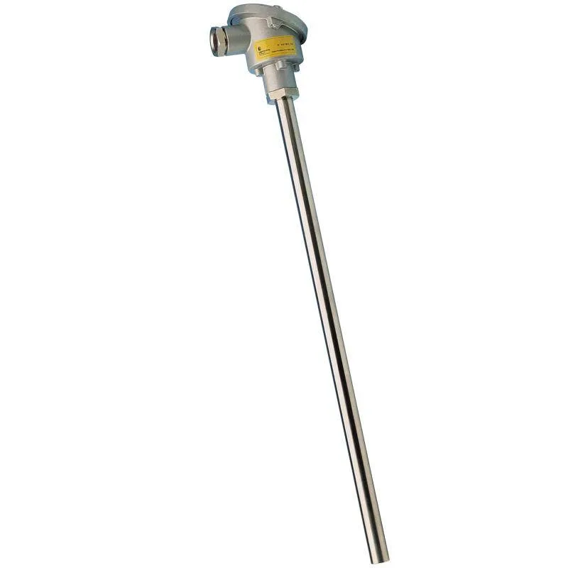 GEFRAN 10021 TC2 Interchangeable MgO insert - Industrial processes and furnaces