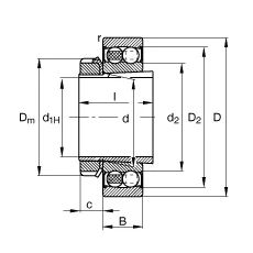 Радиальные сферические шарикоподшипники 2210-K-2RS-TVH-C3 + H310