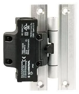 Schmersal. Hinge safety switch - TESZ110/35
