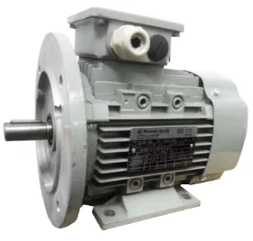 Двухскоростные электродвигатели AC Motoren FCPA 112 M-2-4