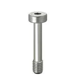 Misumi Cover Bolts/Low Head