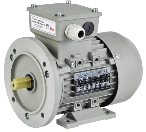 Асинхронные двигатели AC Motoren FCPA 100 LA-8/SPE
