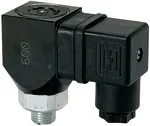 Riegler 103019 Переключатель давления с двусторонними контактами, G 1/8, 10-70 бар DS 6003