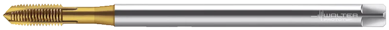 Метчики машинные HSS-E Walter P2031035-M6