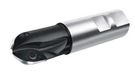 Фрезы для профильной обработки Walter F2339.W25.025.Z02.20