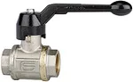 Riegler 103262 Шаровый кран в исполнении для сложных условий эксплуатации, с ручным рычагом, IT/IT, G 3/8 3350.03