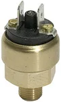 Riegler 103015 Переключатель давления в миниатюрном исполнении, латунь, G 1/8, диапазон настройки 1-10 бар DS 214
