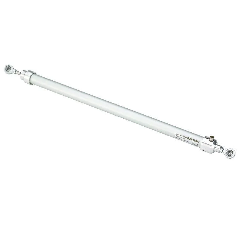 GEFRAN 10061 PZ67-A With self-aligning joints - IP67