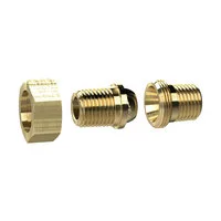 Riegler 156009 Съемный ниппель с двойной резьбой, коническое уплотнение,R 2 вн.,R 2 вн.,латунь MS252L22G