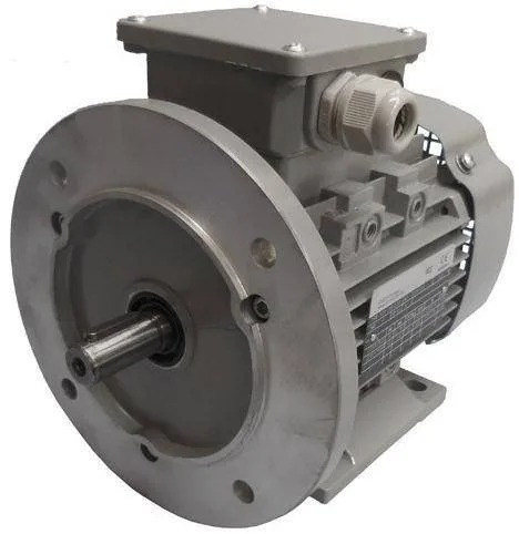 Однофазные электродвигатели AC Motoren FBSP 100 L-4