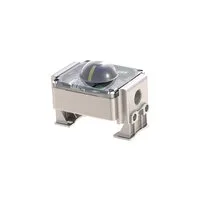 Riegler 158825 С обратной связью о конечном положении, ATEX, алюминий, индукционный переключатель NJ2,NAMUR 350.939-1
