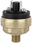 Riegler 103072 Переключатель давления для низкого давления, латунь, M10x1, 0.2 - 1.5 бар DS 361