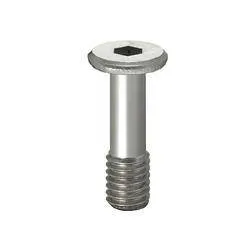 Misumi Cover Bolts/Extra Low Head