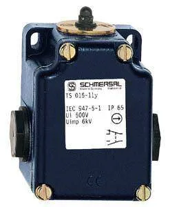 Schmersal. medium heavy Position switch - TS 015-11Y